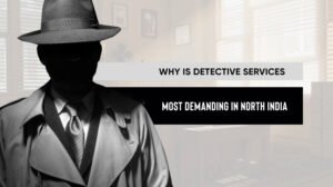 Why Is Detective Services Most Demanding In North India
