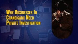 Private Investigators