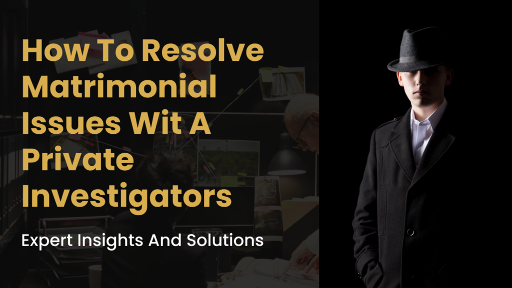 Private Investigators