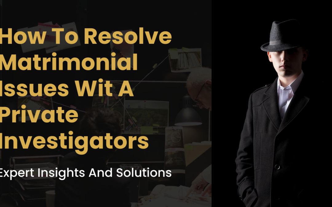 Private Investigators