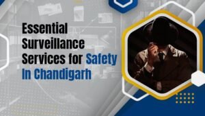 Surveillance Services